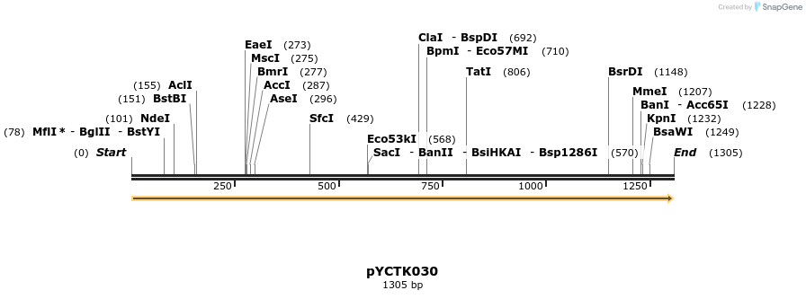 342517_map