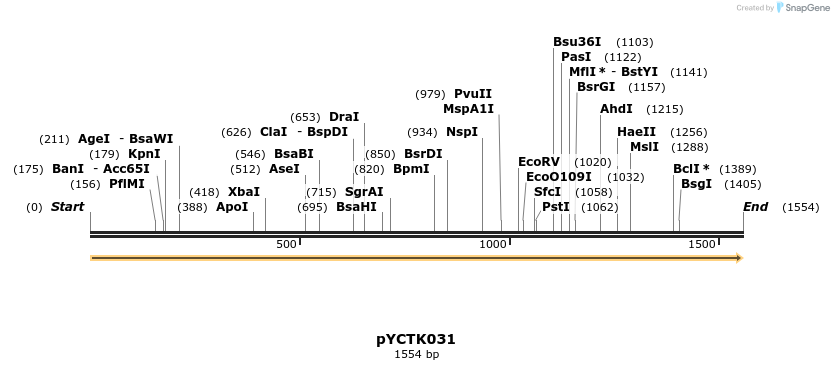 342519_map