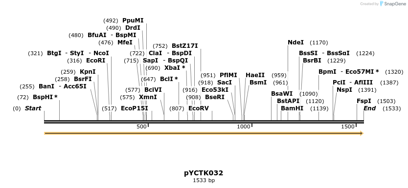 342521_map