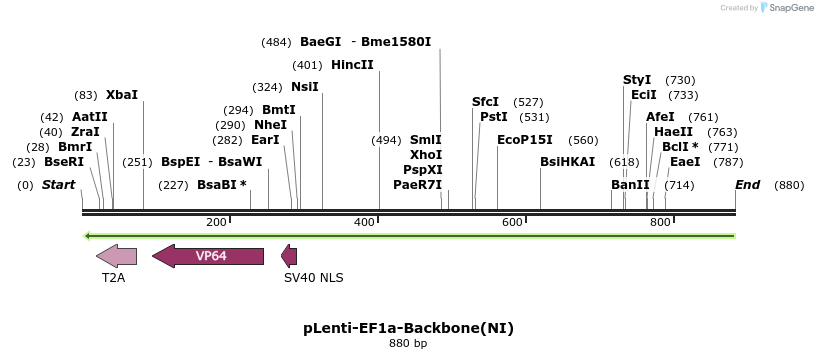 34254_map