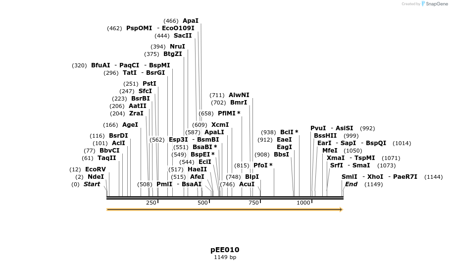 342589_map