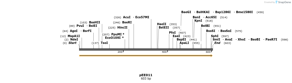 342591_map
