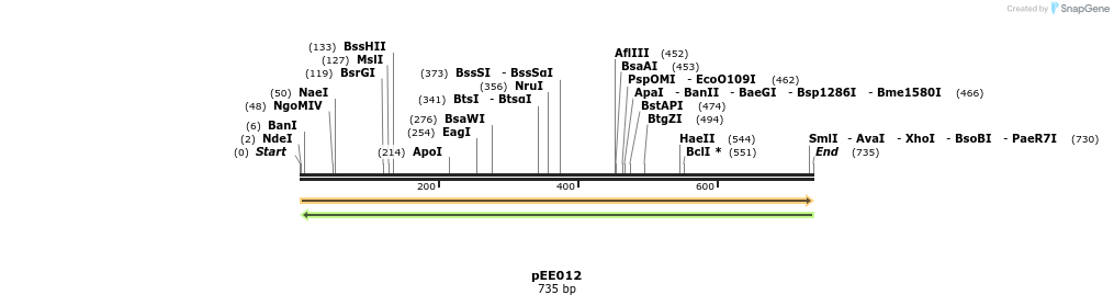 342593_map
