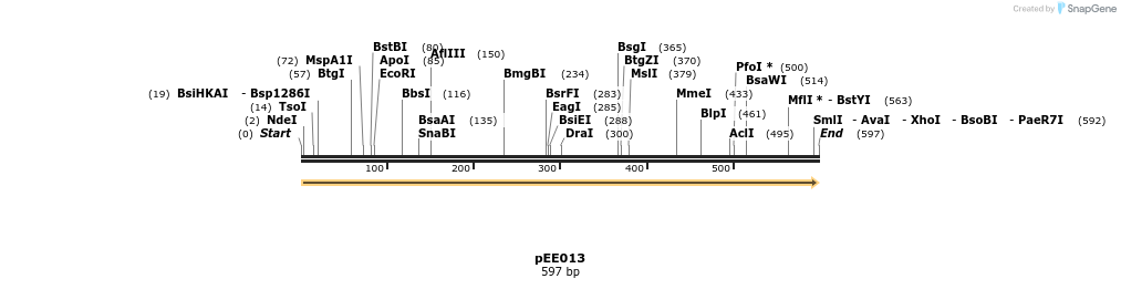 342595_map