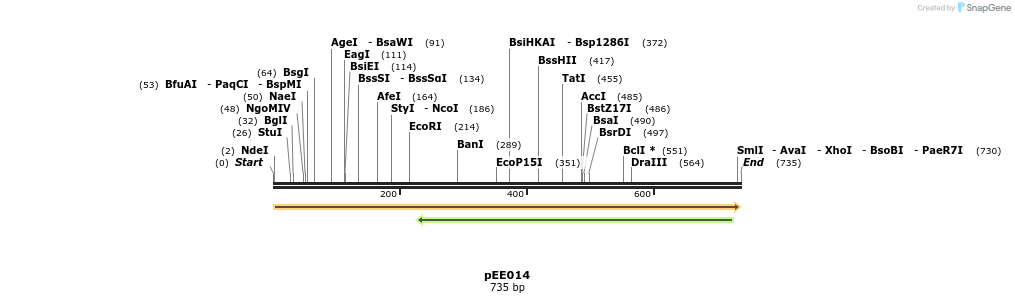342597_map