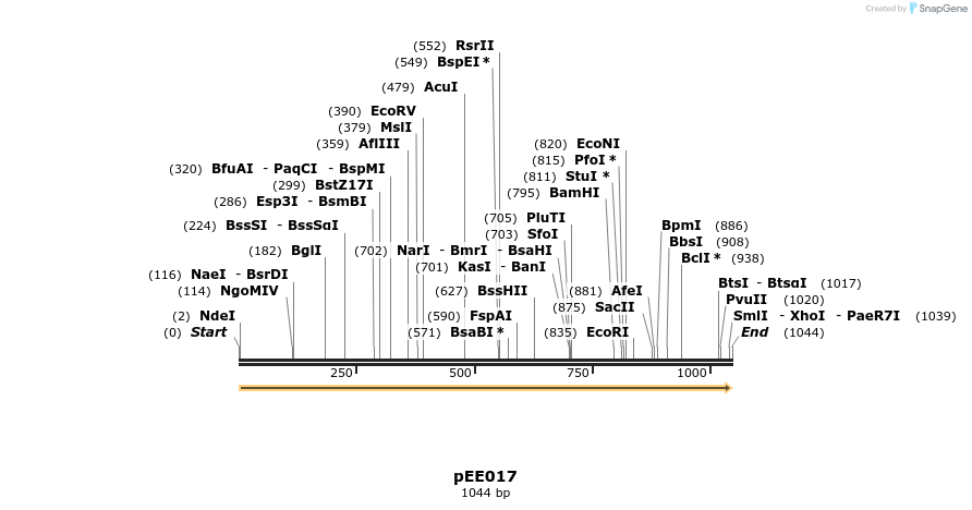 342603_map