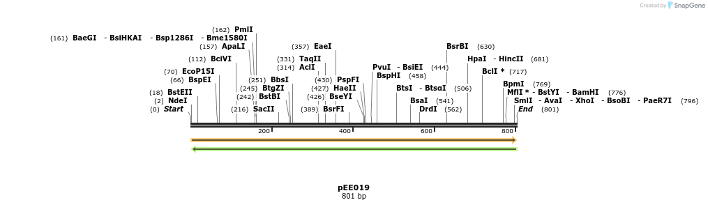 342607_map