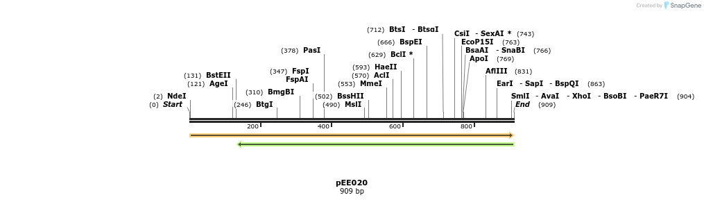 342609_map
