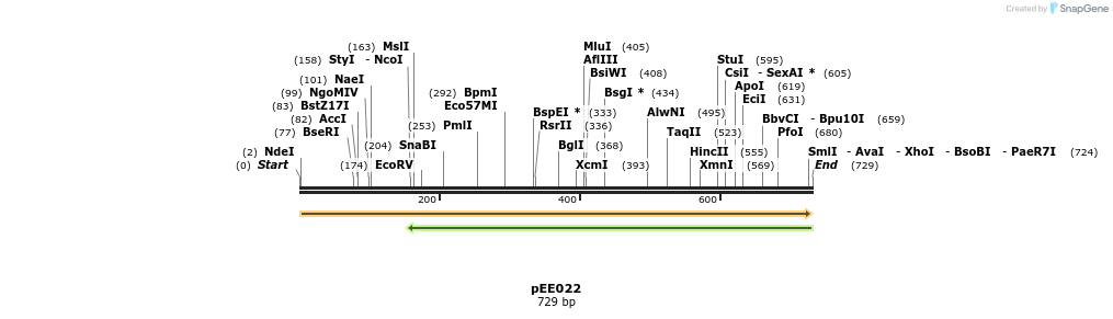 342613_map