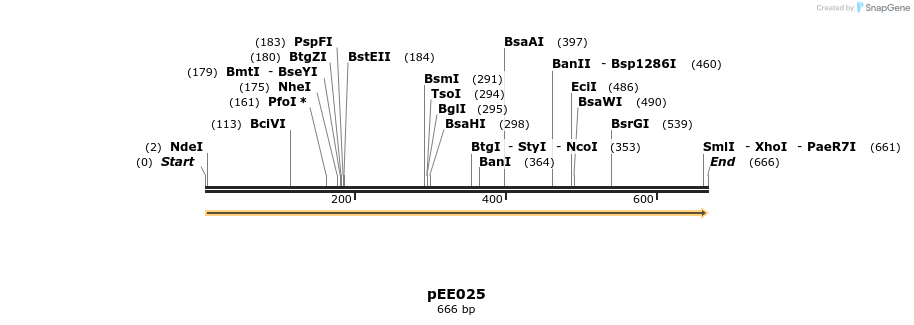342619_map