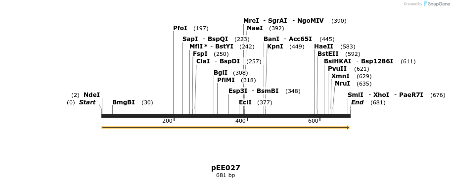342623_map