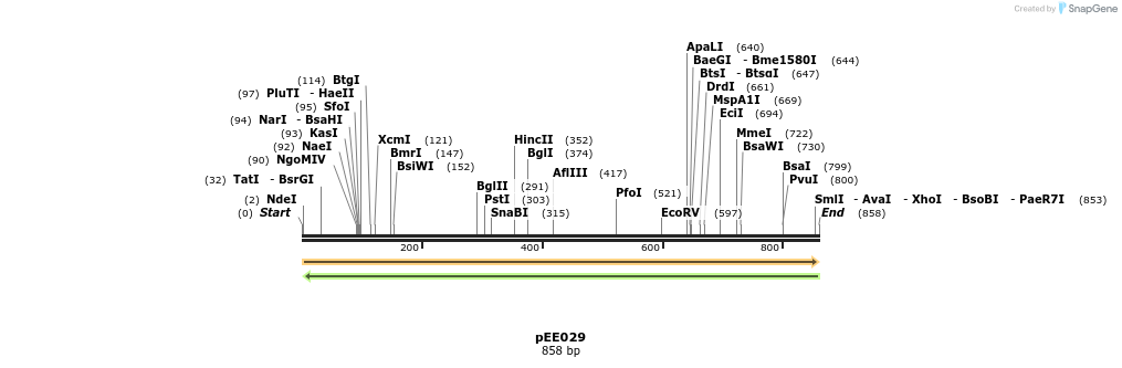342627_map
