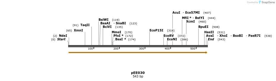 342629_map