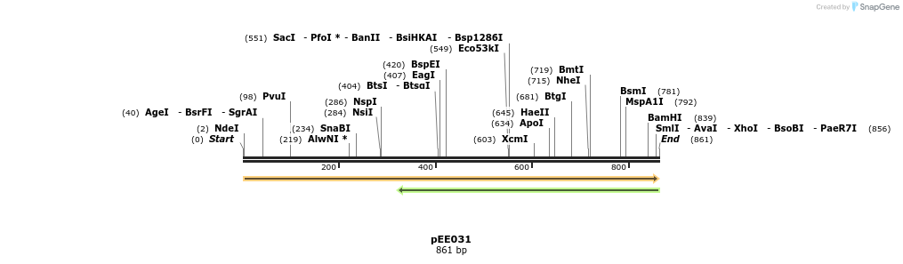 342631_map