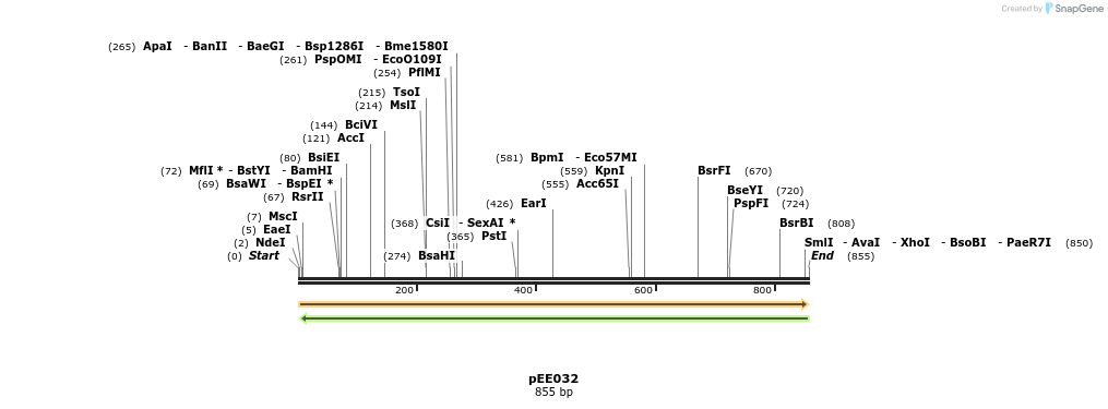 342633_map