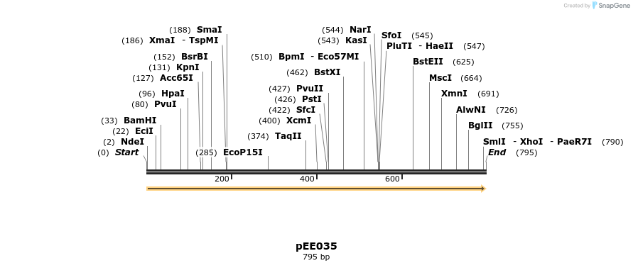342639_map