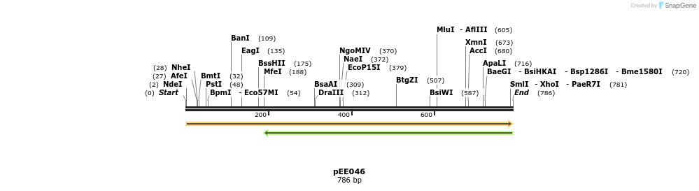 342661_map