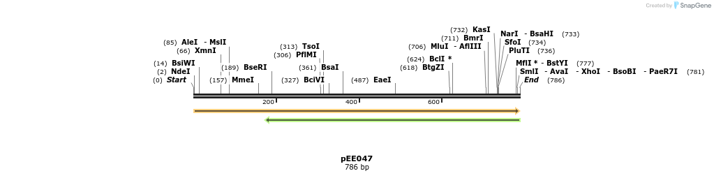342663_map