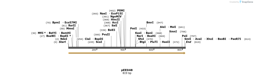 342665_map