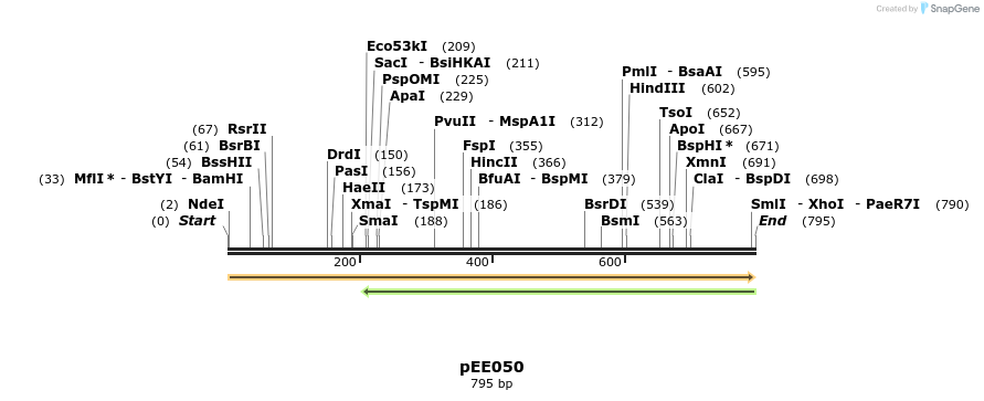 342669_map