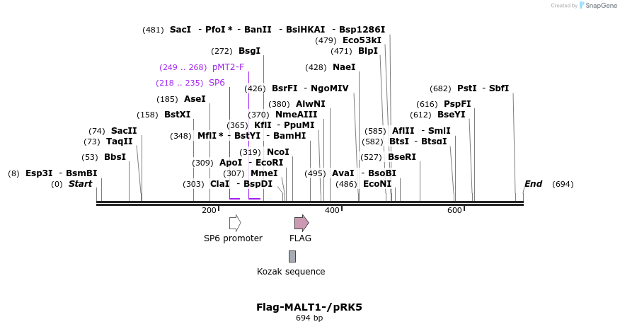 34267_map