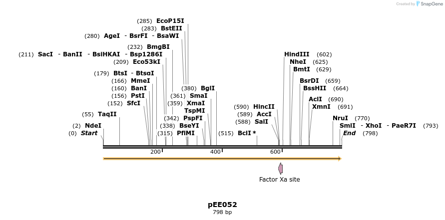 342673_map