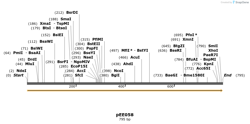 342685_map