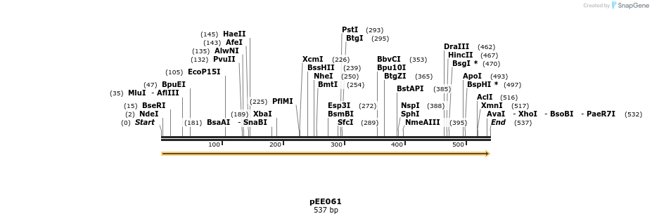 342691_map