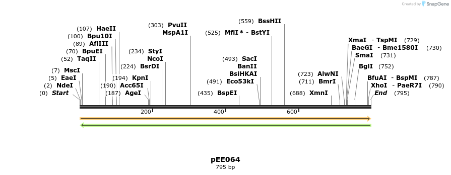 342697_map