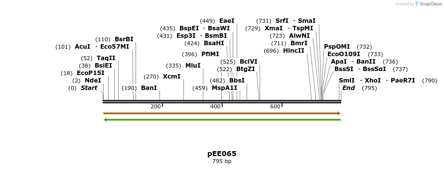 342699_map