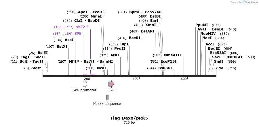 34270_map