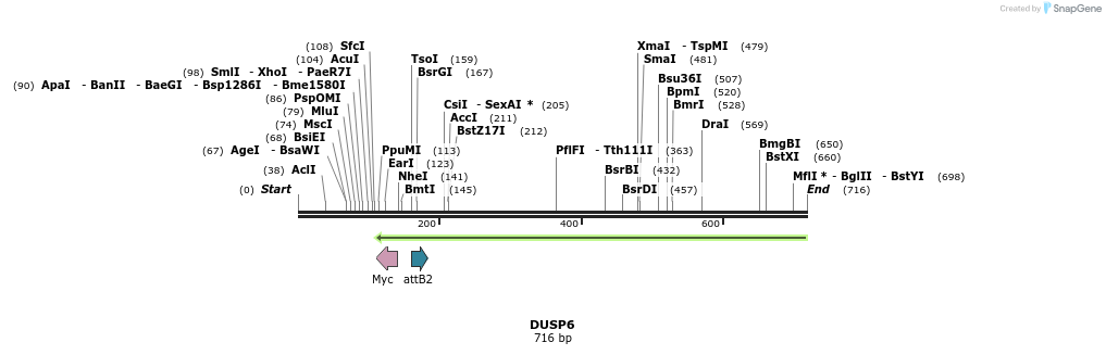 34271_map