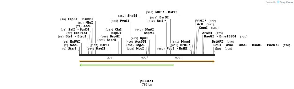 342711_map