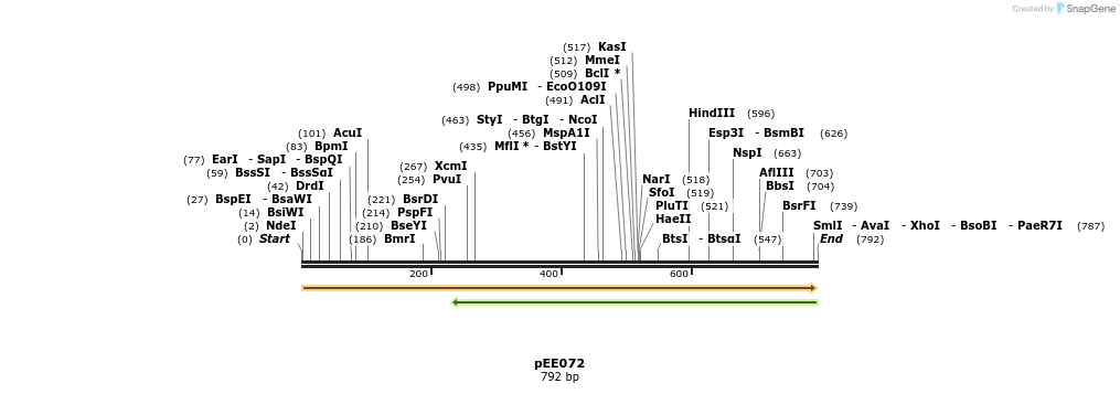 342713_map