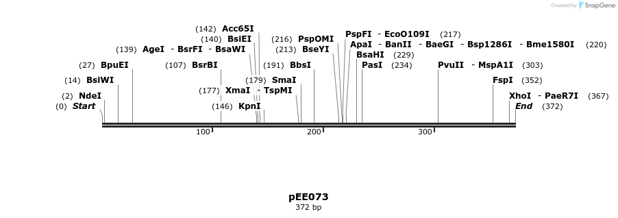 342715_map
