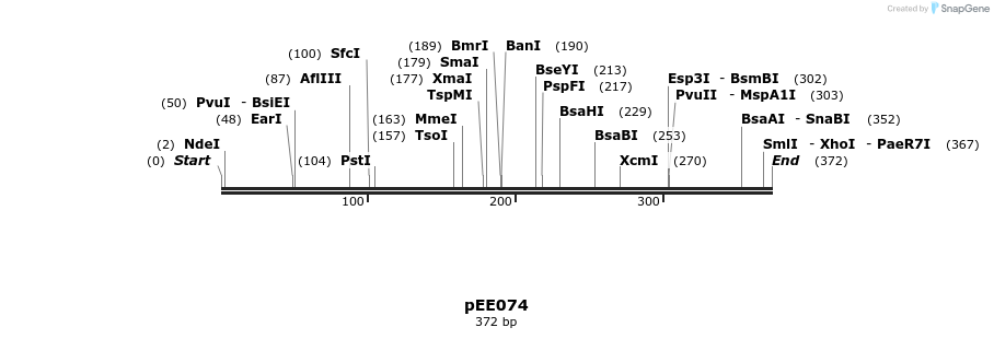 342717_map