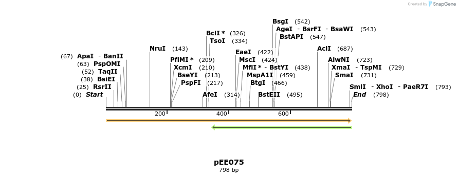 342719_map
