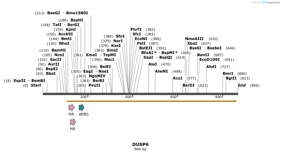 34272_map