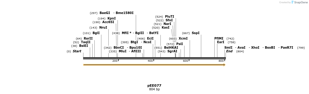 342723_map