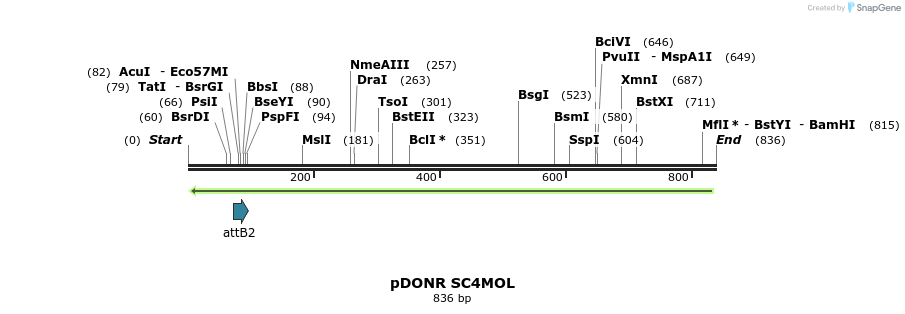 34273_map