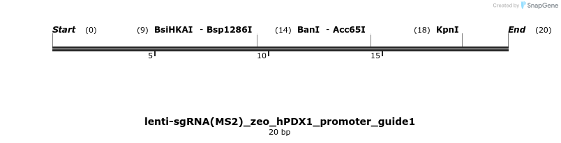 342750_map