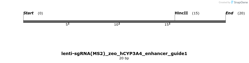 342755_map