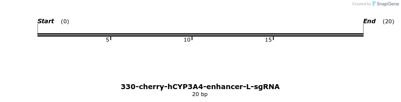 342757_map