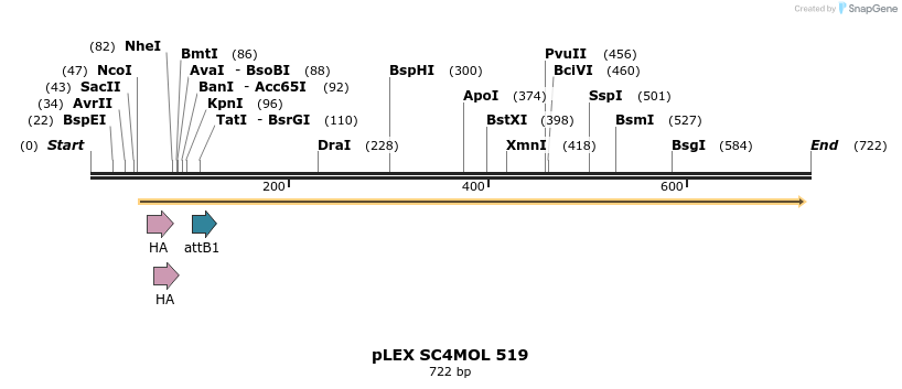 34279_map