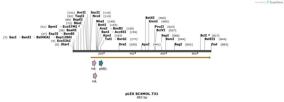 34280_map