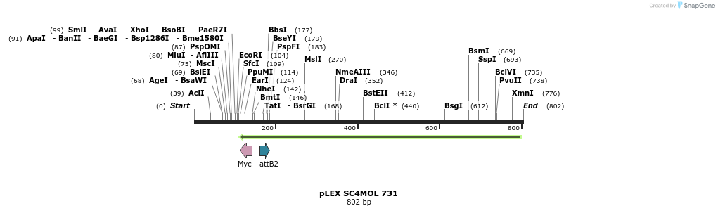 34281_map