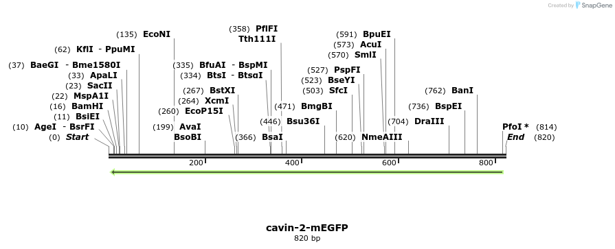 34286_map