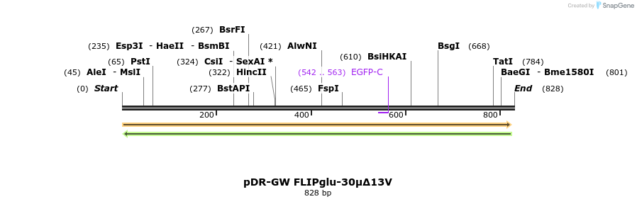 34289_map