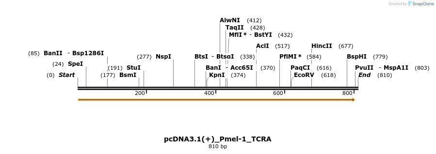 342905_map
