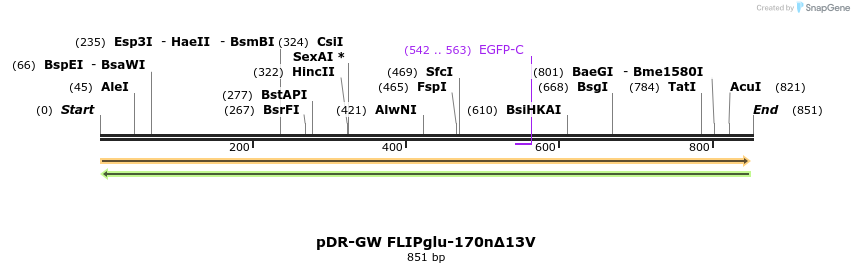 34291_map